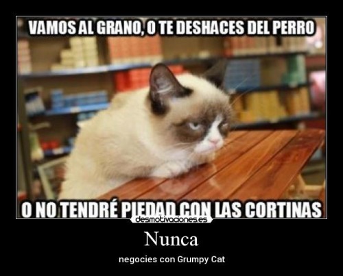 7 Memes de Grumpy cat Gato Gruñon